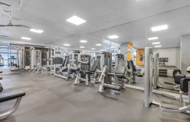 Modern Apartments Biscayne Bay - Photo 42