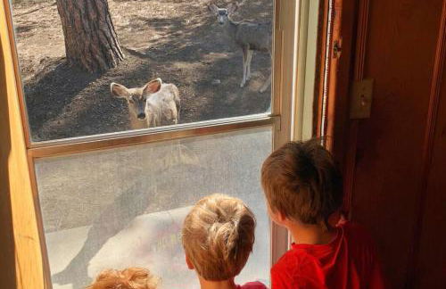 Twin Pines Casita - Big Yard, View, Porch, Hot Tub, & Charm - Foto 17