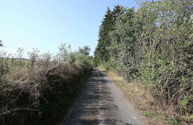 Wohnung in Medebach Nahe Skipisten - Photo 21