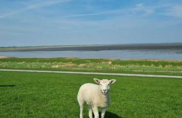 NEU! Ferienwohnung Friesenherz - Foto 12