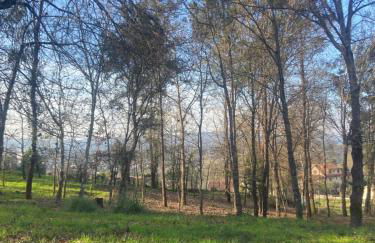 Quinta do Senhor - Foto 44