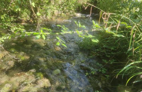 Casa Vecchia - Photo 25