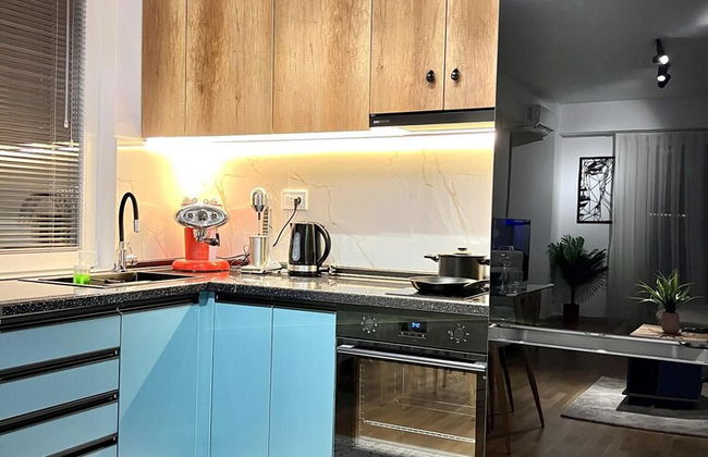 Corner Penthouse Apartment in the Centar of Skopje - Photo 10