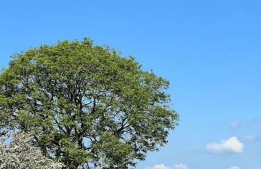 The Alpaca Farmhouse with hot tub and alpaca experience included - Foto 19