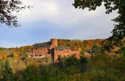 FeWo-Am-Nationalpark-Eifel - Foto 16