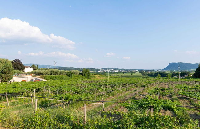 Belvilla by OYO Lira - Foto 28