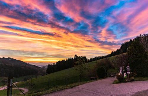Ferienwohnung s' Plätzli - Foto 13