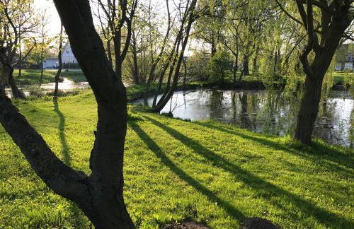Ferienresidenz am Salzhaff - Foto 52