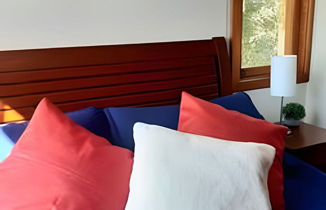 Siga Gramado - Vista linda -Tudo a pé - Foto 8