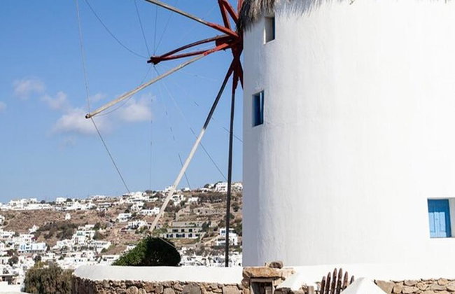 Lo más destacado de Mykonos - Tour privado de medio día - Foto 1