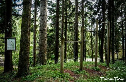 La Casa del Sarto - FedericoFarm - Foto 46