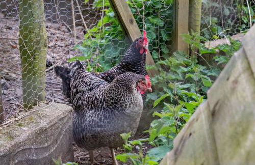 1 Bed in Littleham SMIDD - Foto 21