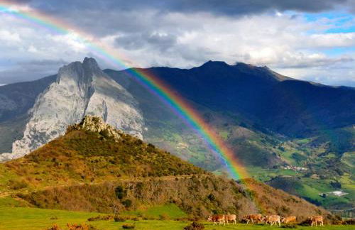 Casa Rural el Enebral en Potes Picos de Euopa - Foto 54