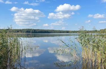Ukoya Mazury - Foto 11