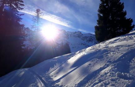 Holzhaus Besler - Foto 38