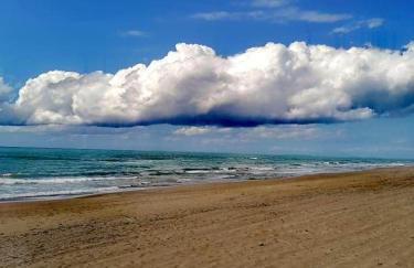 Ktima Rodies in Neochori Zacharo - Foto 43