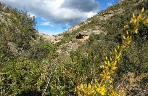 La Llar de la Font - Foto 14