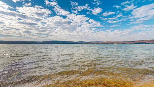 Sleeping Fox - Foto 2