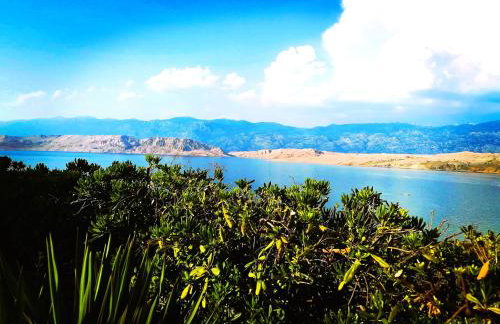 Family apartments K&M - Photo 34