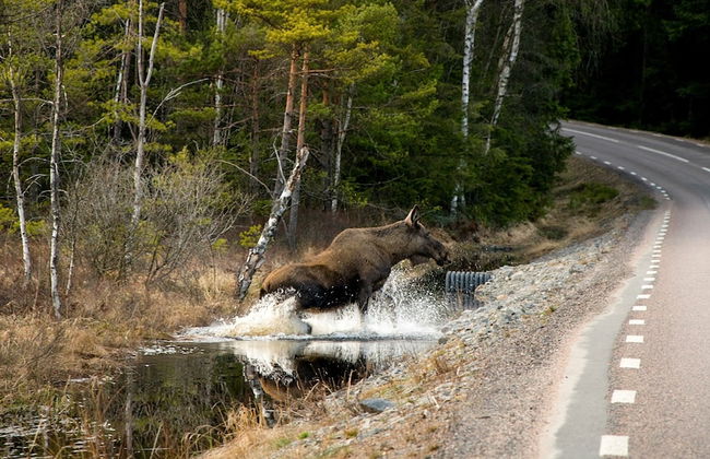 Évika boutique hotel - Photo 80
