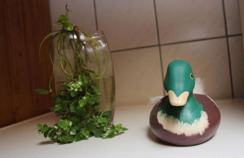 Haus Koblizek - Foto 30