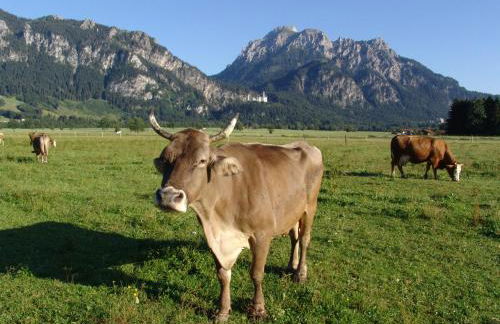 Hintere Schöne - Foto 29