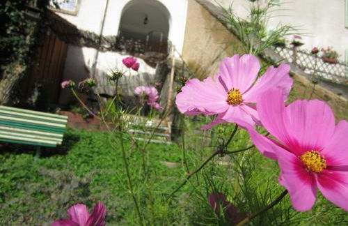 La Maison des Fontaines D'alsace - Foto 104