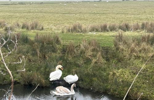 Chalet K94 - Sunset View - Foto 20