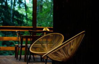 Okno na las - Foto 14