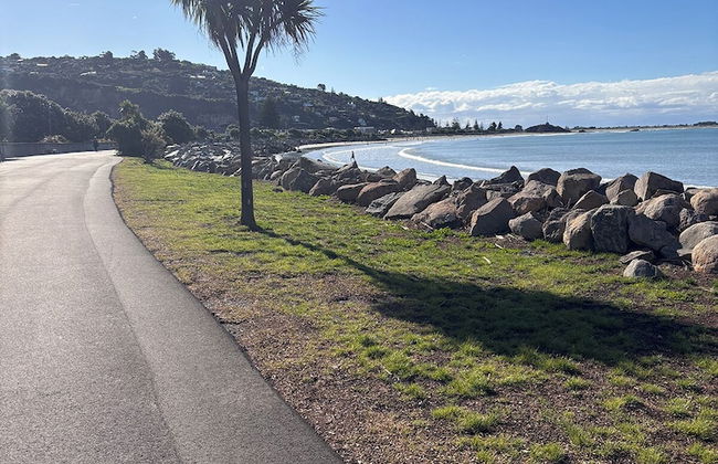 Sumner Bay Motel & Apartments - Foto 60