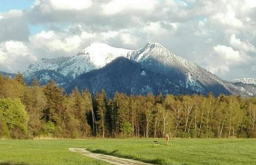 Adersberger Annemarie - Ferienwohnung - Foto 7