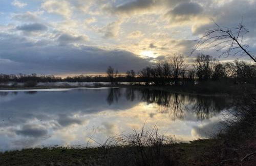 Ferienwohnung Elbsegler - Foto 30