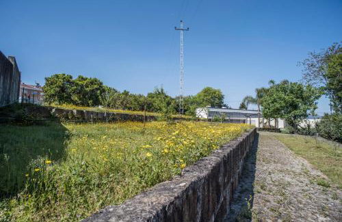 Quinta Do Pomar Pomar Farm - Foto 13