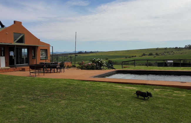 Pumula Guest Farm - Foto 77