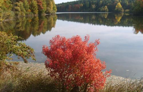 Ferienhaus-Hotel "Zur Grünen Oase" - Foto 13