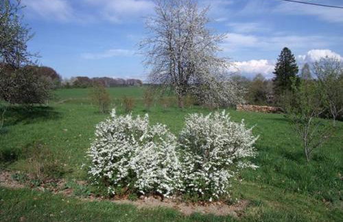 Gîte Les Hirondelles - Foto 43