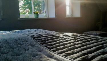 Forestry Chic Flat With Lake And Forest View - Photo 4