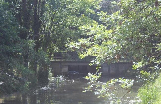 Waldblick Forest Retreat - Foto 36