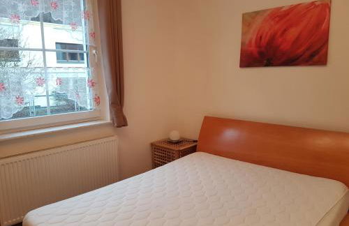 Ferienwohnungen Harz - Wieda - Foto 5