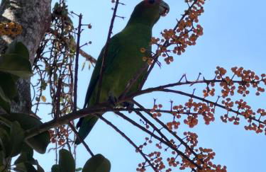 Arthi - LINDO LOFT RECANTO DOS PASSARINHOS - Foto 11