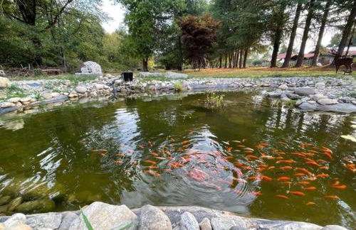 VILLA SELVA - Piemonte - Foto 38