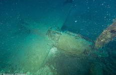 La Conchiglia sul Mare - Foto 44