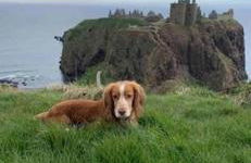 Sunnyside Apartment - Foto 7