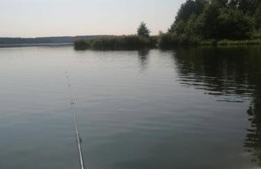 Lasy Jeziora, Cisza i Spokój, Grzybki i Rybki, Dom 180m2 w Swornegacie nad jeziorem Karsińskim - Foto 47