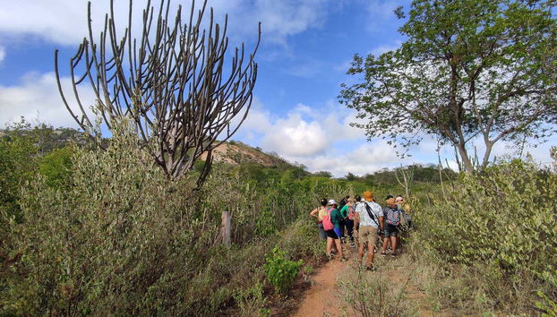 Durante l'escursione nella caatinga
