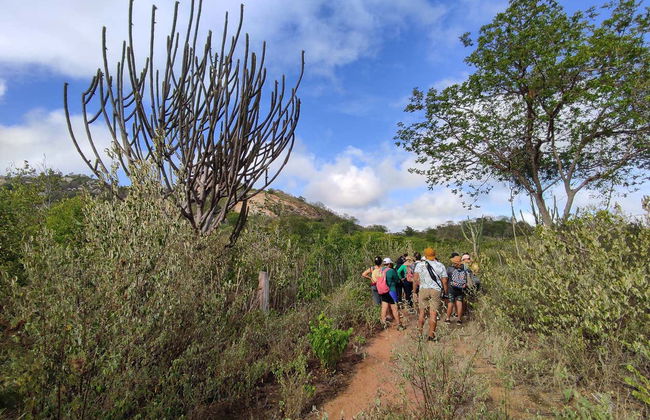 Escursione di 2 giorni nella Caatinga del Paraíba - Foto 2