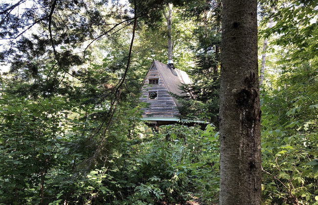 Chimo Refuges Treehouse Resort - Foto 29