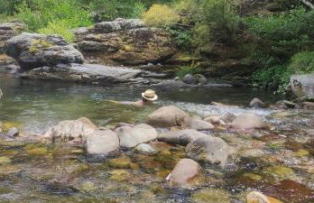 Grande Maison Jardin Cours centre Ville Florac - Foto 18