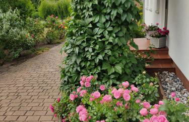 Großzügige Ferienwohnung am Waldesrand im Seenland - Foto 34