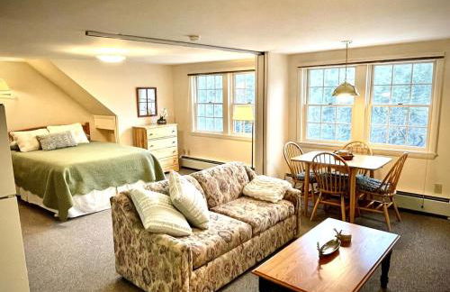 Peaceful Mtn Studio Pet-friendly - Foto 1